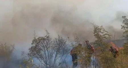 Şamaxıda dağlıq ərazidə yanğın olub