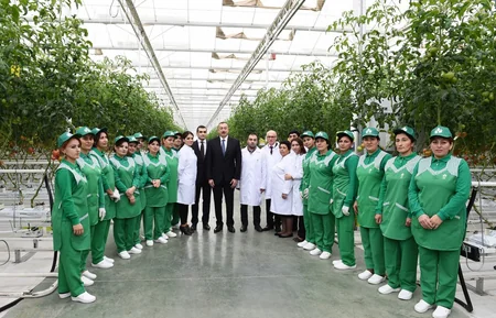 Prezident İlham Əliyev Zirə qəsəbəsində “BAKU AGROPARK”da görülən işlərlə tanış olub