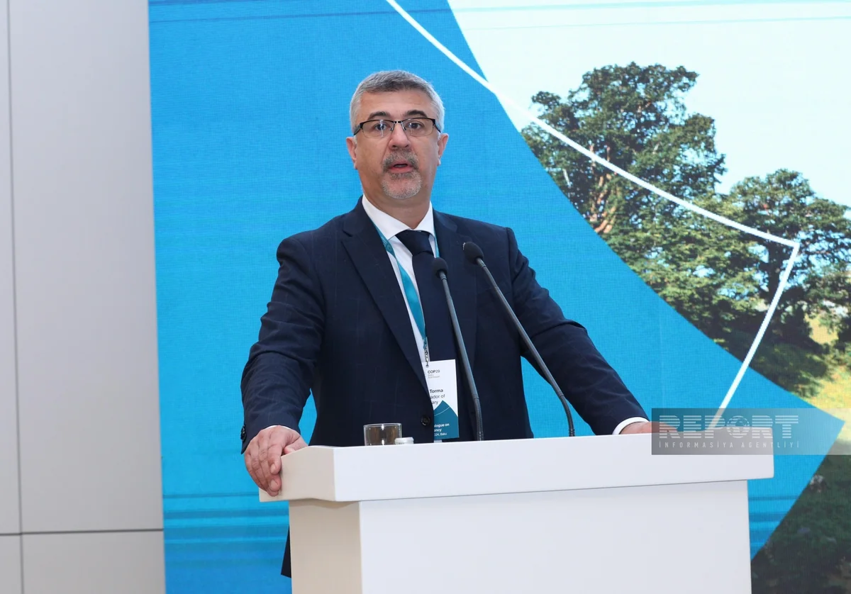 Посол: Венгрия благодарна Азербайджану за инициативу Бакинской глобальной платформы прозрачности