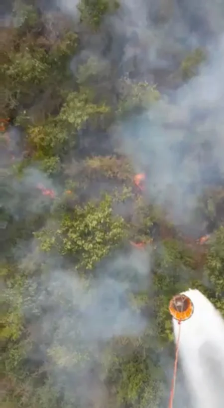 FHN: Meşə yanğınlarının söndürülməsinə 1140 nəfərdən çox canlı qüvvə və 120 texnika cəlb olunub