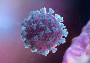 WHO assesses situation over spread of UK Covid variant