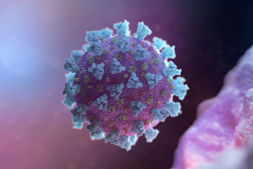 WHO assesses situation over spread of UK Covid variant