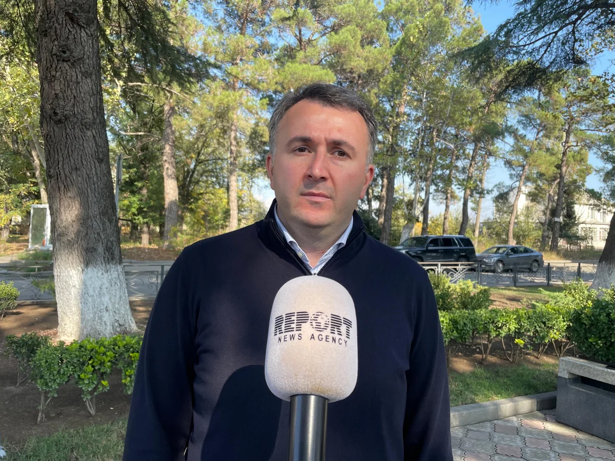 Bəzi qüvvələr Gürcüstanın dinc və sabit inkişafının əleyhinədir - RƏY