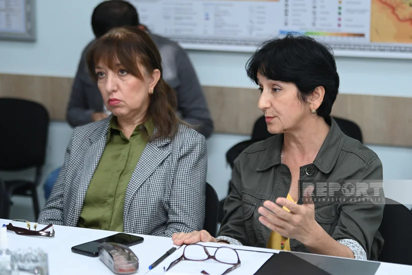 Bakıda ağacların kütləvi qurumasının qarşısının alınması ilə bağlı tədbirlər planı hazırlanıb