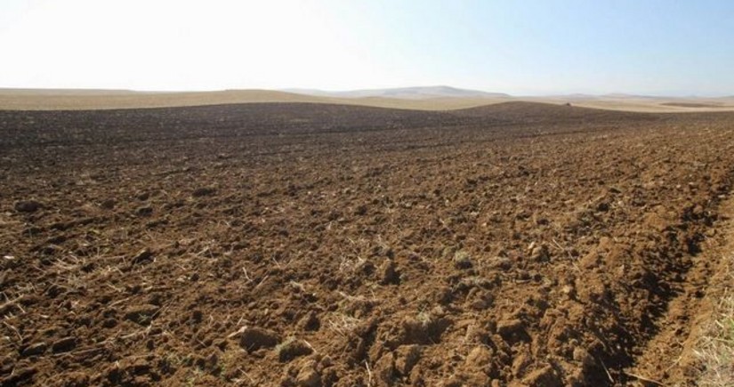 Azərbaycanda növbəti torpaq hərracları elan edilib