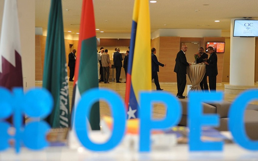 Russian expert: OPEC and OPEC+ will discuss cutting output