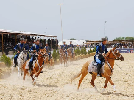 Turkish President watches performance featuring Karabakh horses