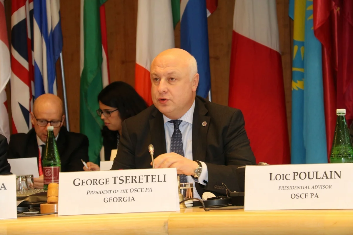 OSCE PA President: We support Azerbaijan's efforts