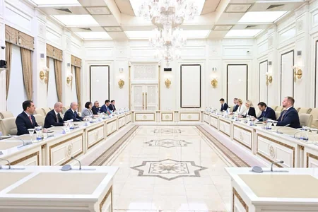Председатель Милли Меджлиса встретилась с президентом ПА ОБСЕ