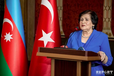 Səfir: 100 il əvvəlki hadisələr Türkiyə və Azərbaycanın yaxınlığını və qardaşlığını sübut edir