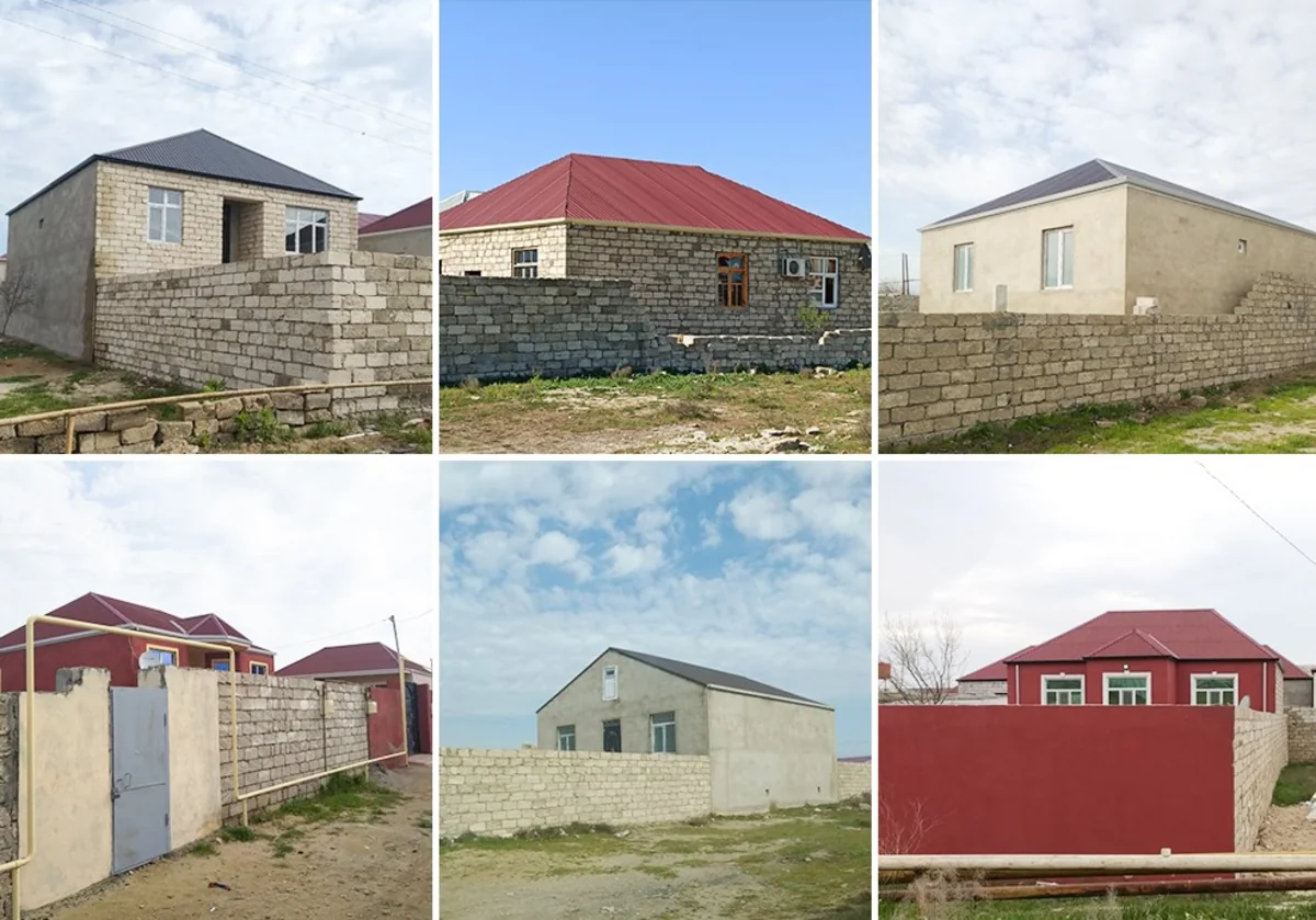 Asan qazanc hərisliyi COVID-19-dan daha yaşlı və qorxuludur - ARAŞDIRMA