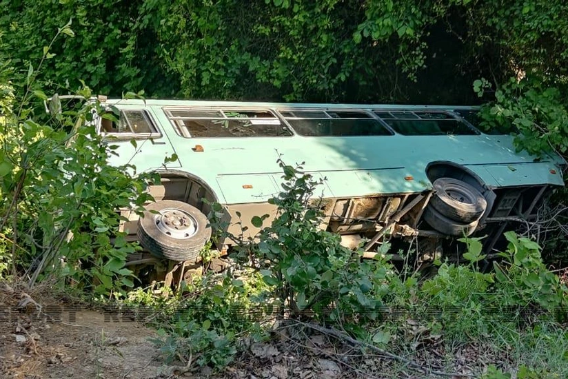 МВД выступило с заявлением о причине тяжелого ДТП в Шеки
