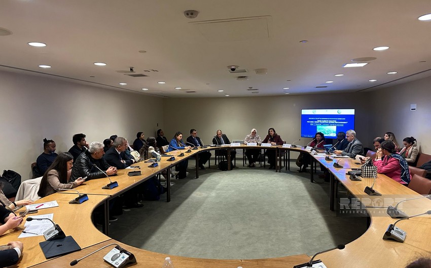 Azerbaijan holds event at UN focused on women's empowerment and green transition