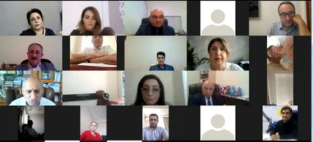 MM-in İnsan hüquqları komitəsi QHT-lərlə videokonfrans keçirib