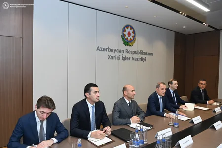 Azərbaycan və Serbiya XİN rəhbərlərinin müzakirə etdiyi məsələlər açıqlanıb - YENİLƏNİB