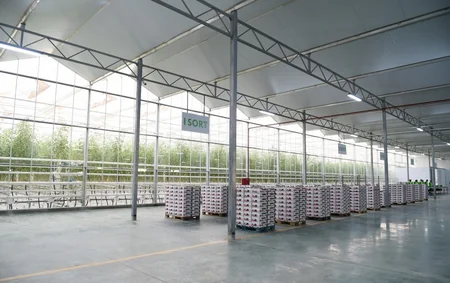 Prezident İlham Əliyev Zirə qəsəbəsində “BAKU AGROPARK”da görülən işlərlə tanış olub