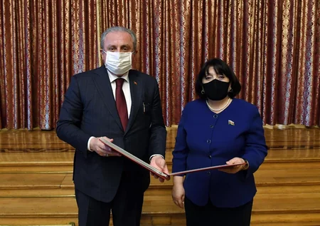 Azərbaycan və Türkiyənin parlament sədrləri görüşüb