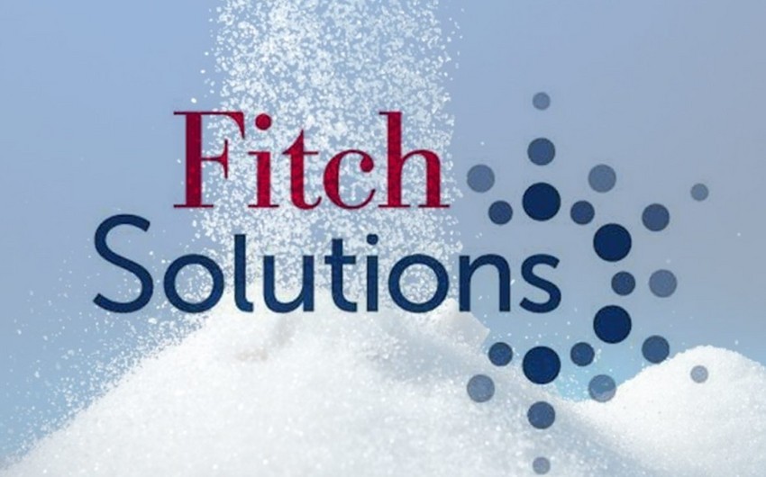 “Fitch Solutions” 2025-ci ildə turizmi təşviq edən əsas amilləri açıqlayıb