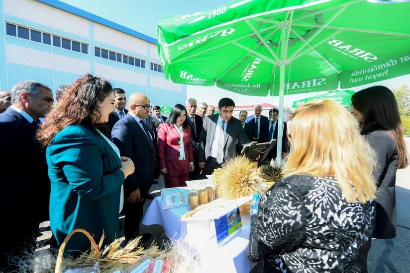 Naxçıvanda toxum sərgi-satış yarmarkası keçirilib