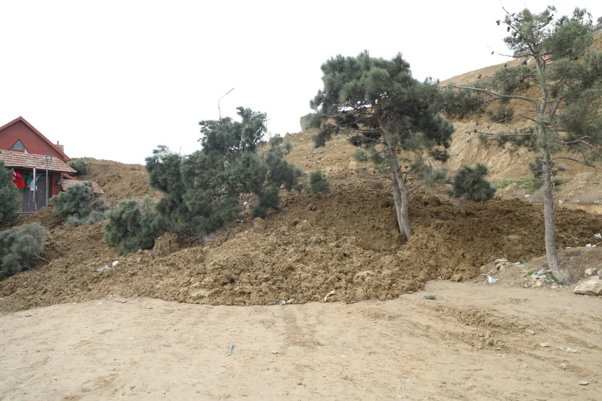 İcra başçısı Badamdardakı sürüşmədən danışdı