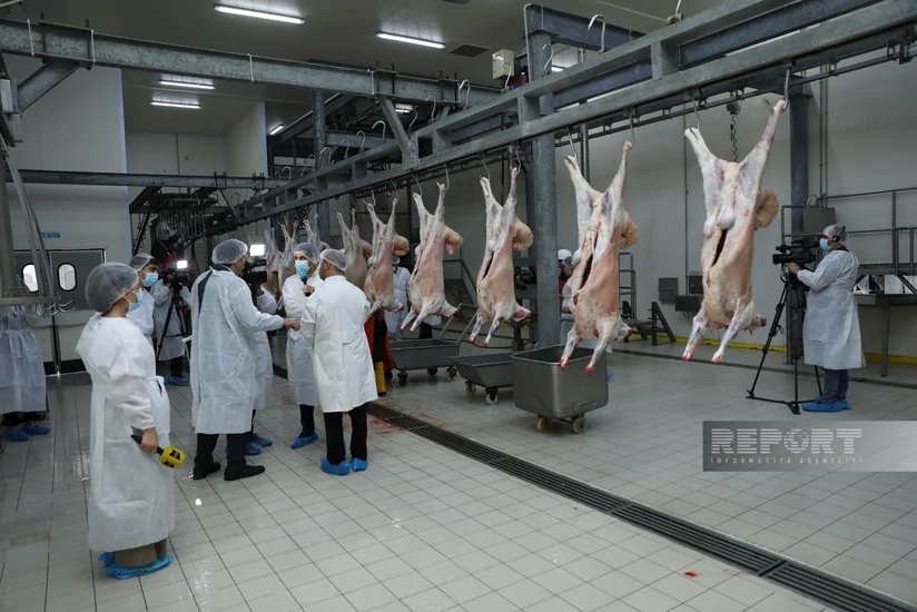 AQTA Qurban bayramı ilə bağlı ölkə üzrə 147 ünvanda qurbanlıq heyvanların satışı və kəsimi xidməti təşkil edib