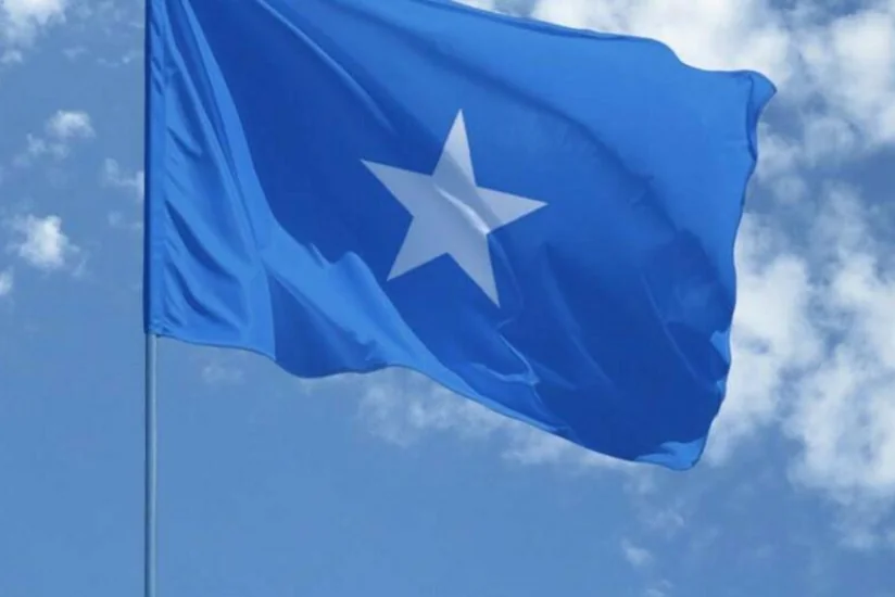 Министра иностранных дел Сомали отправили в отставку