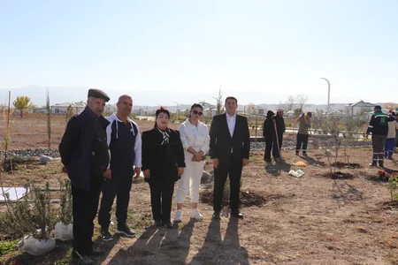 Ağalı kəndində yaşıllaşdırma işi həyata keçirilib