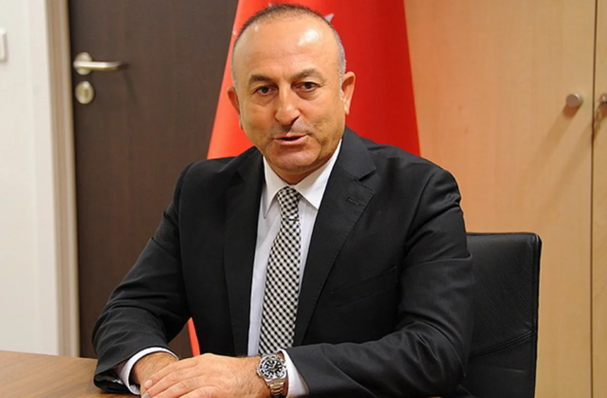​Türkiyəli nazir terrorçu qadının Suriyaya keçməsi ilə bağlı açıqlama verib
