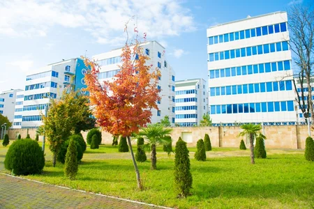 Lənkəranda “Qızıl payız” - FOTOREPORTAJ