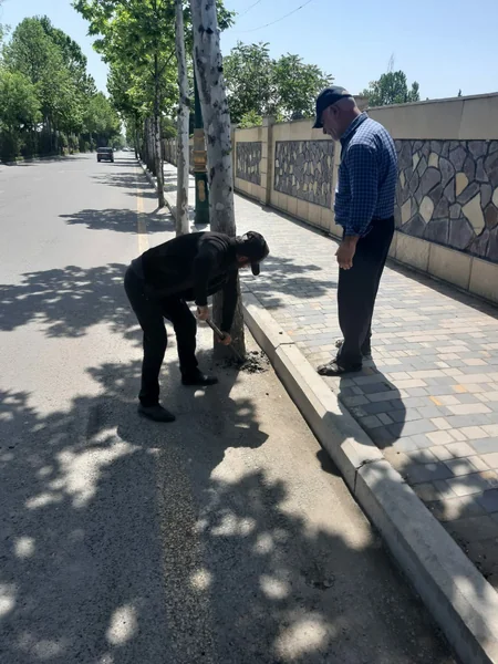 Azərbaycanda daha bir bələdiyyə sədri cəzalandırıldı