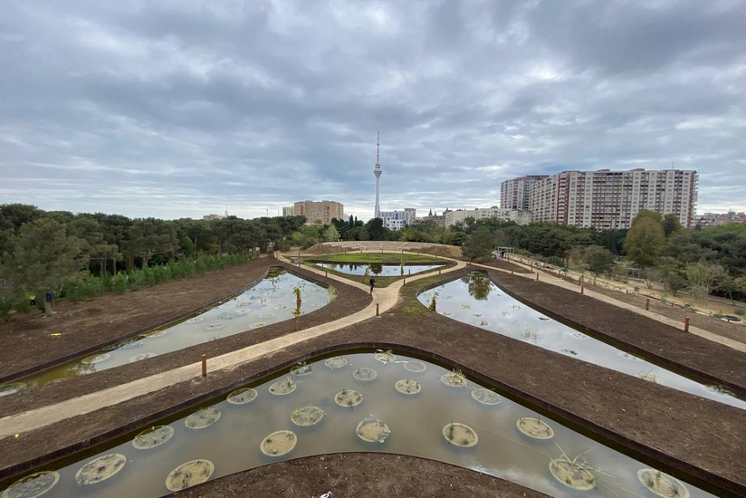 Центральный ботанический сад откроется в конце октября