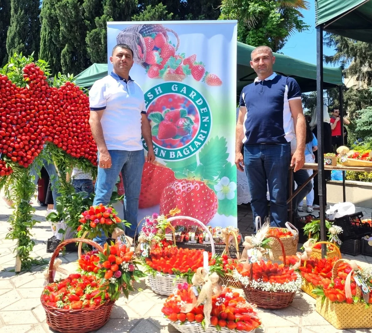 USAID-in dəstəyi ilə tikilmiş soyuducu anbarlar Azərbaycanda çiyələyin ixracını artırıb