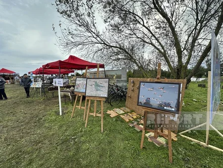 Qızılağac Milli Parkında Flaminqo Festivalı keçirilib - YENİLƏNİB