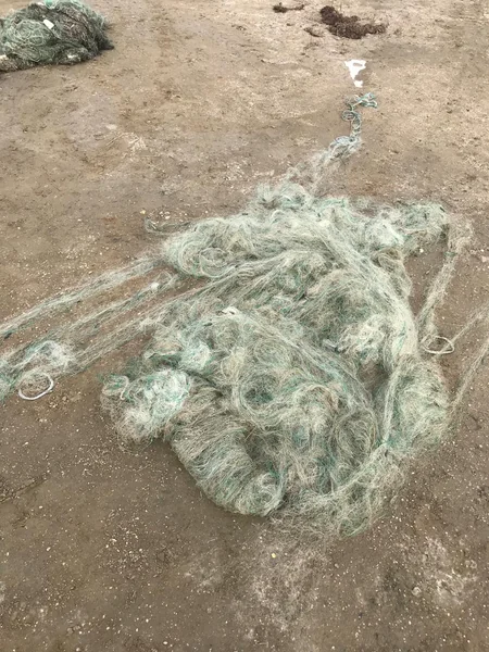 Xəzərin bir hissəsi sintetik torlardan təmizlənib