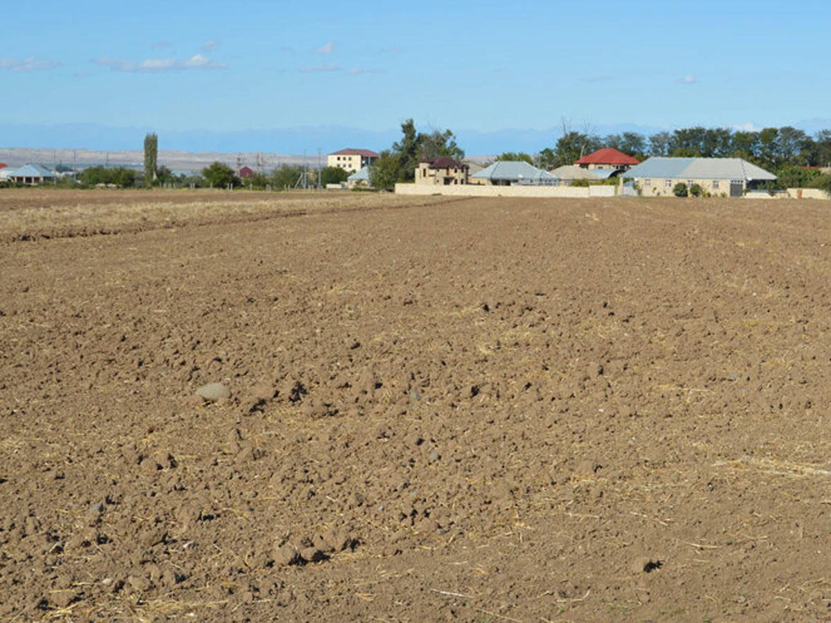 Azərbaycanda bələdiyyə torpaqlarına görə vergi ödənilməsi qaydası dəyişdi