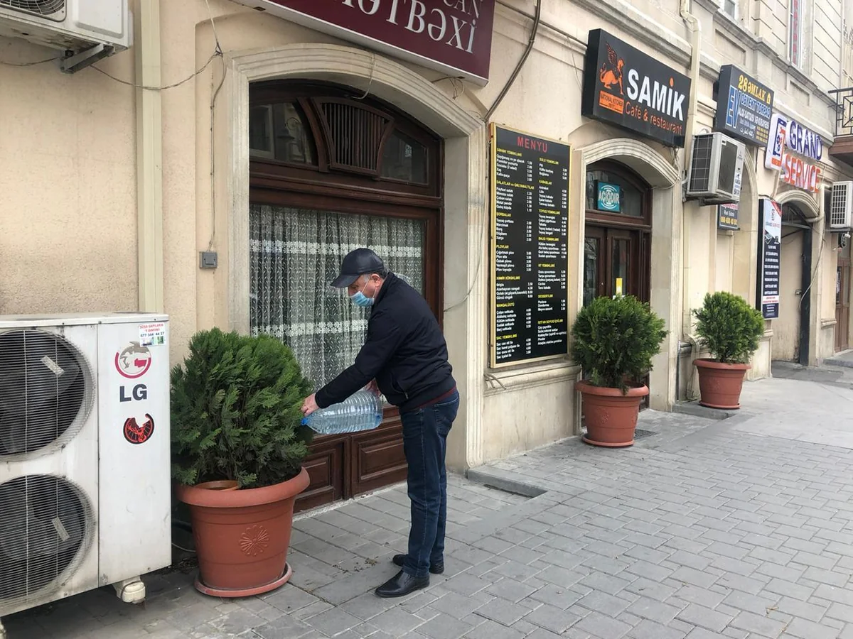 Karantin günlərində paytaxtda yaşıllıqlara qulluq göstərilir