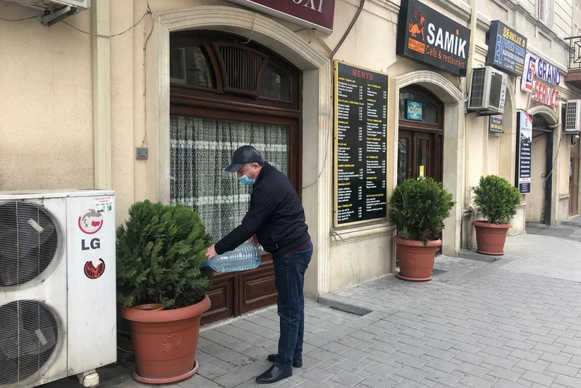 Karantin günlərində paytaxtda yaşıllıqlara qulluq göstərilir