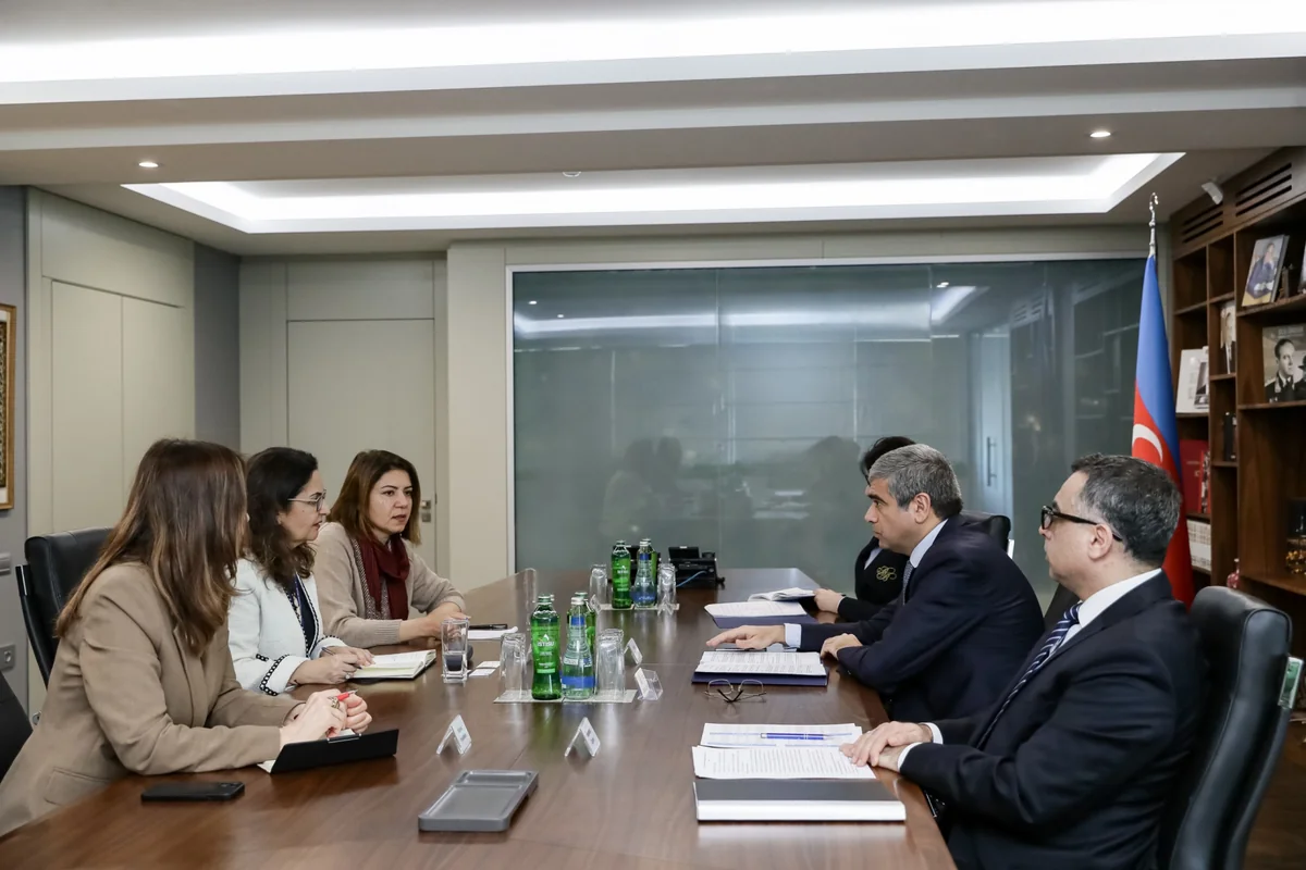AİB ilə əmək, məşğulluq, sosial müdafiə sahəsində gələcək əməkdaşlıq müzakirə edilib