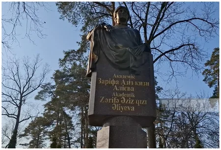 Ukraine's Irpin thanks Azerbaijani state and people for their support