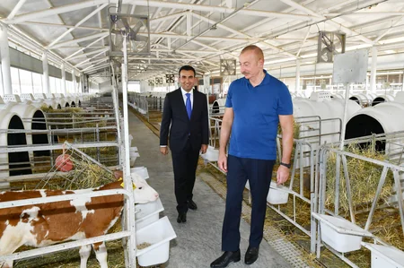 Ilham Aliyev gets acquainted with activities of Agsu Agropark