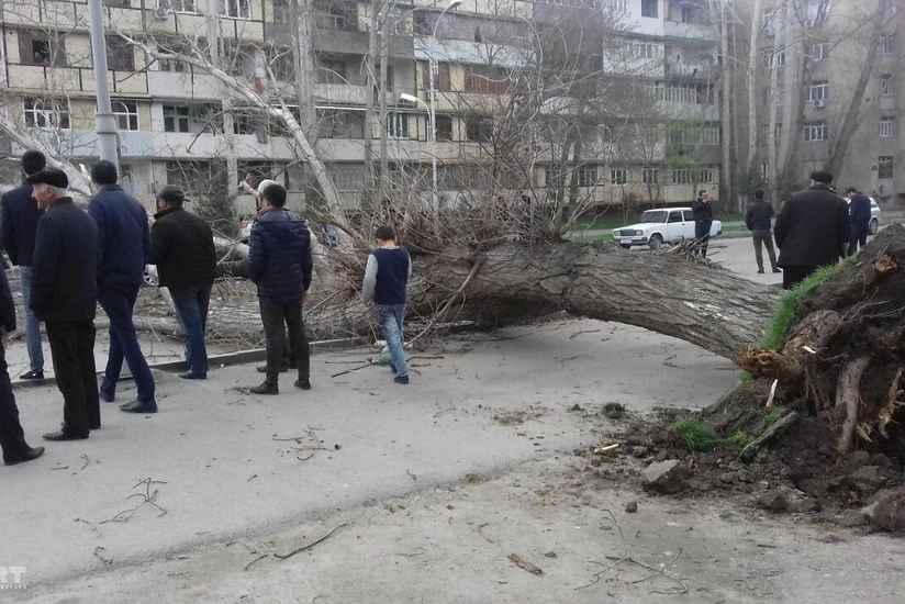 Güclü külək Mingəçevirdə fəsadlar törədib