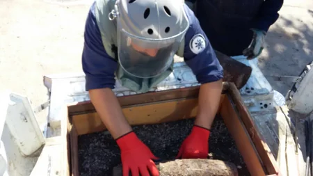 Gəncədə iki top mərmisi aşkar edilib