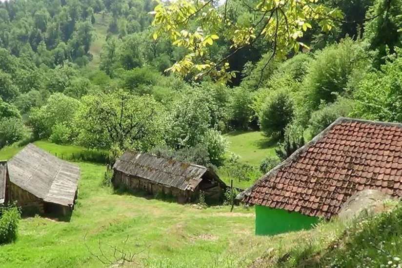 Kənd evləri sahibləri üçün “Bələdçi” ərsəyə gətirilib