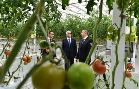 Prezident İlham Əliyev Zirə qəsəbəsində “BAKU AGROPARK”da görülən işlərlə tanış olub