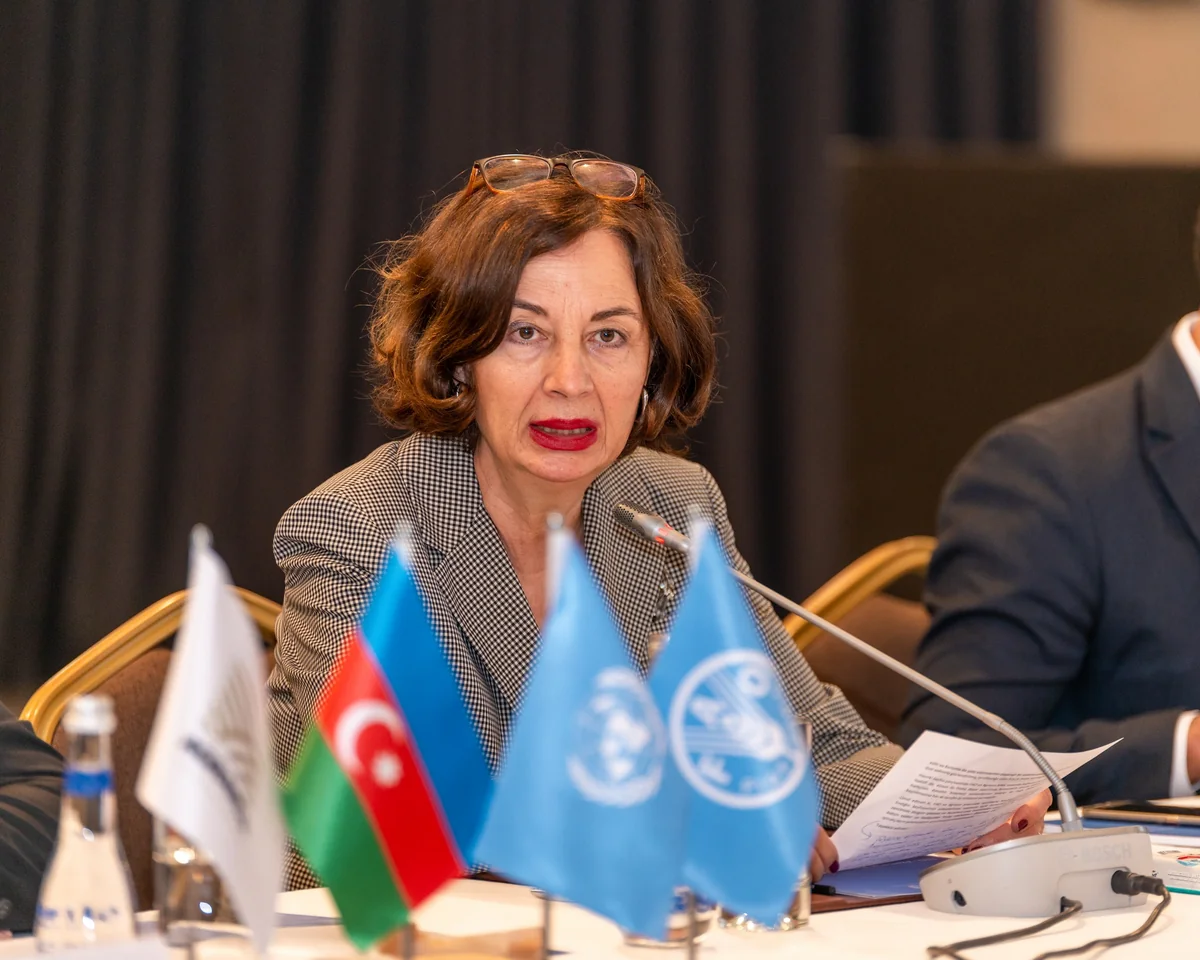 FAO 3 rayonda kənd yerlərinə dəstək layihəsi həyata keçirmək istəyir