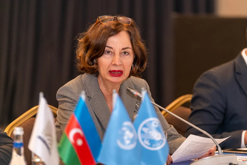 FAO 3 rayonda kənd yerlərinə dəstək layihəsi həyata keçirmək istəyir