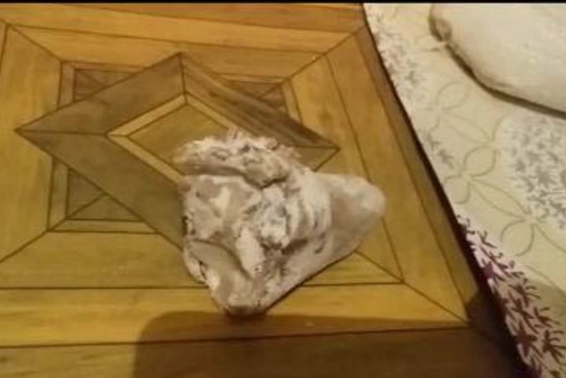 Cəlilabadda un kisəsindən heyvan sümüyü çıxıb - VİDEO - FOTO