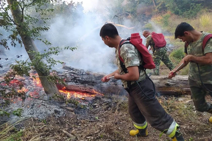 В Джалилабаде вспыхнул пожар в лесном массиве