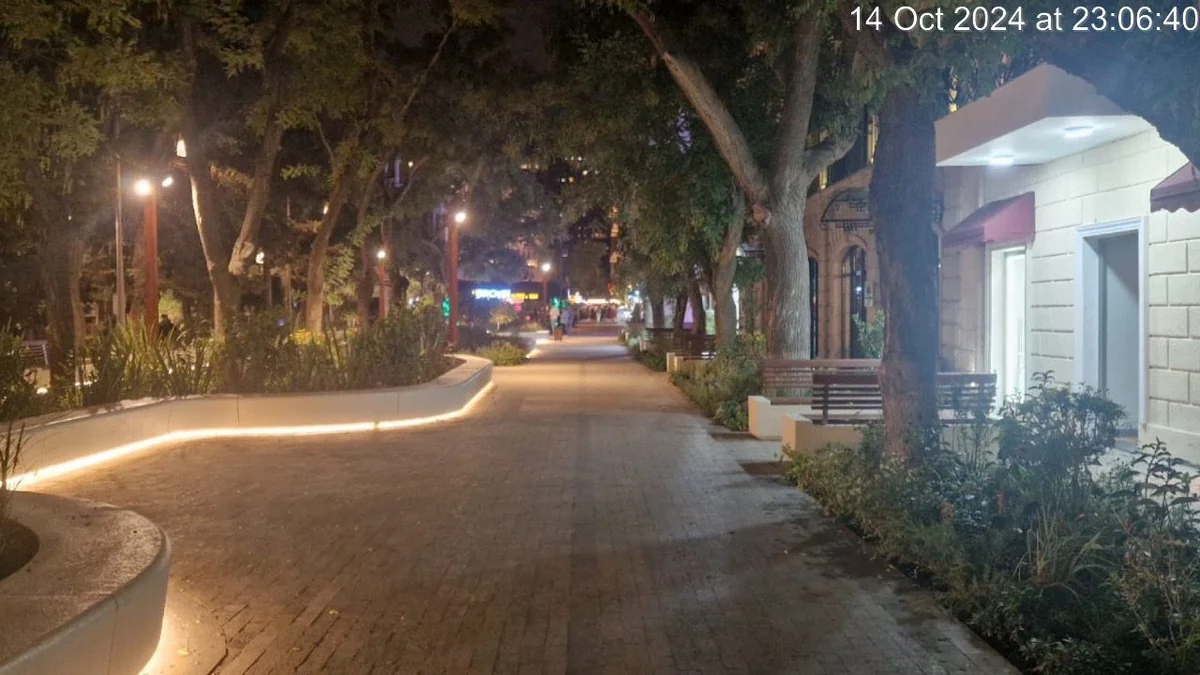 Komitə: Xəqani parkındakı qanun pozuntusu aradan qaldırılıb