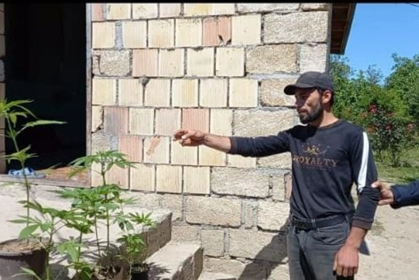 Şabranda narkotacir saxlanılıb